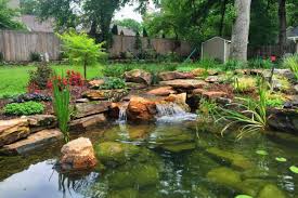 Check spelling or type a new query. How To Maintain Your Garden Pond Better Housekeeper