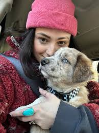 Happy Tails Steamboat! Steamboat, now known as Ziggy, has gone home to  Quincy with his amazing new parents Katelyn and Stewart. They had been  waiting for the right time to bring a