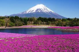 Mount Fuji Hakone Sightseeing Tour Japan Shore Excursions