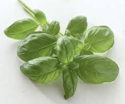 Hiew fei tsong (founder)alpro pharmacy sdn bhd, malaysia. Pun Chou Pcg Com My