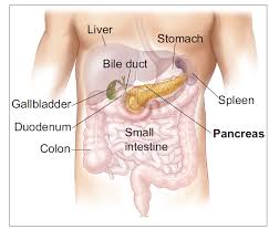 The two diseases are linked but exactly how remains unclear. Dissect Platform With Multi Omics Data And Various Analytic Tools Cngbdb