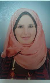 Samer Moustafa Mohamed Mohamed