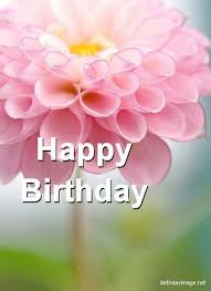 Beautiful flowers happy birthday meme. Happy Birthday Pinterest Free Happy Birthday Cards Happy Birthday Flower Happy Birthday Pictures