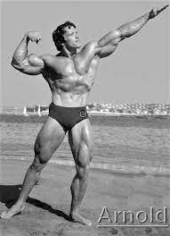 Arnold Schwarzenegger Austria 30 July 1947 Usa Height 6 Foot 2 188 Cm Olympia Fitness Mr Olympia Bodybuilding