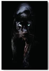 Machen sie mit bei dem spaß, indem sie ein wenig pink anziehen.,pop_up_desc. World Menagerie Grafikdruck Black Panther Wayfair De