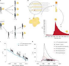 adipose lipid turnover and long term changes in body weight