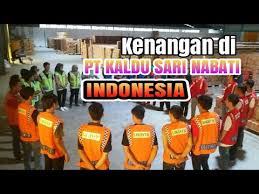 The company is engaged in the foods and beverages industry. Pt Kaldu Sari Nabati Indonesia Di Majalengka Youtube