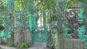 Image result for Strongylodon macrobotrys