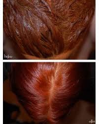 Henna Hair Henna Hair Henna Hair Henna Hair Dyes Henna Hair Henna Hair Color