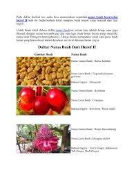 Apa buah kegemaran anda semua ? Daftar Nama Buah Dari Huruf H