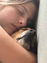 Beagles are lovable and loving breed