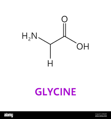 Image result for Glycine