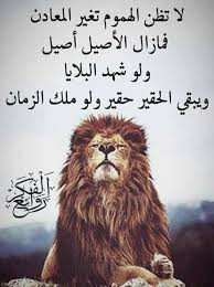 خلفيات رمزيات حب بن Words Quotes Wisdom Quotes Life Favorite Book Quotes