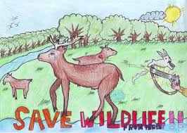Apr 30, 2013 · dove totem, spirit animal. Save Animals Drawing Novocom Top