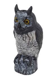 Birds landing on your fence and roof can be a massive nuisance, especially when they start pooping everywhere. How To Stop Birds Pooping Your Balcony Better Homes And Gardens