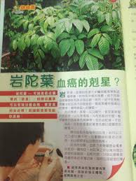 You also want to provide a hot spot on one side of the. Sabah Snake Grass ä¼˜éè‰ Home Facebook