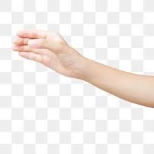 Mulher Linda Mulher Bonita Bonita Bonita Mulher Bonito Imagem Png E Vetor Para Download Gratuito Hand Holding Something Fashion Clipart Pop Art Illustration