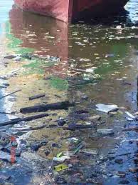 Dengan pengajaran alam sekitar itu guru dapat meragakan secara langsung. Tingkat Pencemaran Laut Indonesia Alamendah S Blog