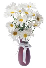 Daisies Transparent Vase Bouquet