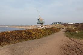 Stranden tillhör inte de officiella badplatserna. The Beach Picture Of Tylosand Strand Halmstad Tripadvisor