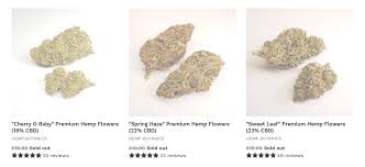 Warning Cbd Flowers Buds Weed Hash Are Not Legal In The Uk Clear