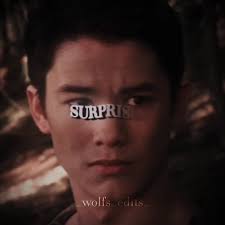 Seth Twilight Turns into A Wolf