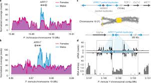 Sauter à la navigation sauter à la recherche. A Single Gene Underlies The Dynamic Evolution Of Poplar Sex Determination Nature Plants