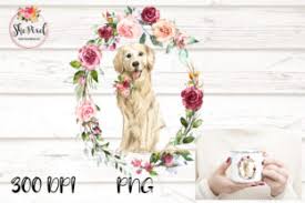 You learn more about our official alaa certification below. Golden Retriever Clipart Watercolor Graphic By Sublimation Hut Creative Fabrica