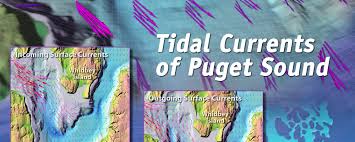 tidal currents of puget sound