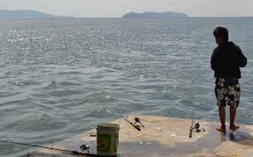 Ketahui tabel pasang surut air laut dan tabel solunar: Panduan Kalau Nak Mancing Bawah Jambatan Penang Umpan