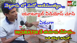 How To Make A Hatching Egg Incubator At Home Telugu Ap6 Youtube