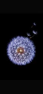 Samsung Galaxy S9 Wallpaper Hd Galaxy Wallpaper Iphone Samsung Galaxy Wallpaper Samsung Galaxy Wallpaper Android