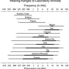 Whether they're actually effective at doing so has been disputed by testing labs and the u.s. Pdf Hearing Ranges Of Laboratory Animals