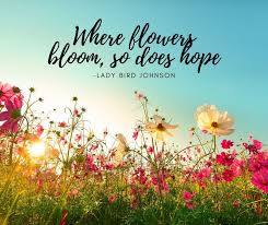 Where flowers bloom so does hope. Griffin S Floral Design Where Flowers Bloom So Does Hope Lady Bird Johnson Facebook