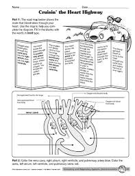 Science Worksheet Circulatory System The Mailbox Circulatory System Life Science Science Worksheets