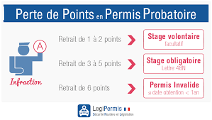 Check spelling or type a new query. Comment Recuperer Des Points En Permis Probatoire Legipermis