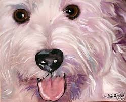 Coton de Tulear Art Print Original from Carla Foster