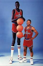 Top 10 Tallest Players In Nba History Sportige Manute Bol Basketball Players Nba Basketball Players