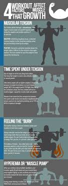 the science behind muscle growth and