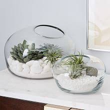 Organic Form Terrariums Succulent Terrarium Plant Decor Indoor Plant Decor
