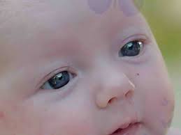 Fundraiser by Shelby James : #TeamOlivia