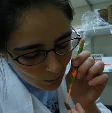 Erica Westerman, PhD