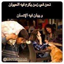 pin on arabic quotes