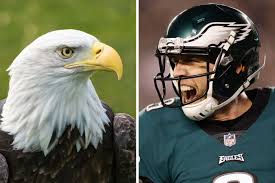 Philadelphia eagles and indianapolis colts both will meet in this coming sunday for the 20th eagles vs colts week 3 game preview, prediction. The Philadelphia Eagles And Their Winged Mascot Have More In Common Than You Might Think