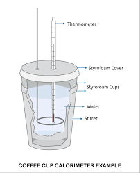 Image Result For Calorimeter Styrofoam Cups Coffee Cups Stirrers