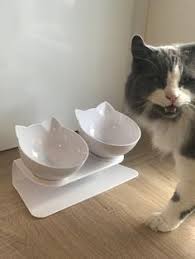 Gamelle Double Pour Chat En 2020 Gatos Bonitos Gatos
