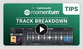 Momentum | Big Fish Audio