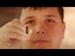 This Week's Sanity Report from Israel July 21, 2024