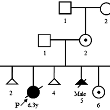 a familial cri du chat 5p deletion syndrome resulted from