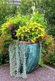 Awesome Diy Container Gardening Ideas You Might Consider For Your Patio Blue Themed Large Container Conta Container Garden Design Garden Containers Plants